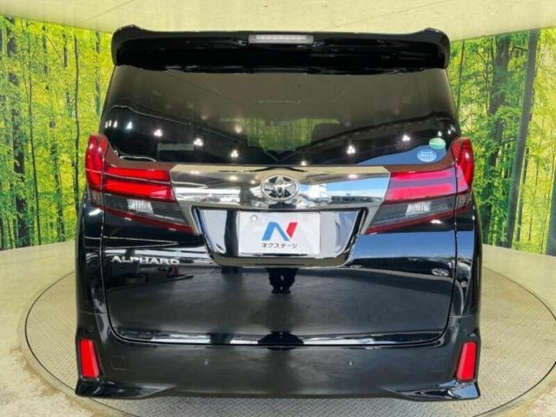 ALPHARD-15