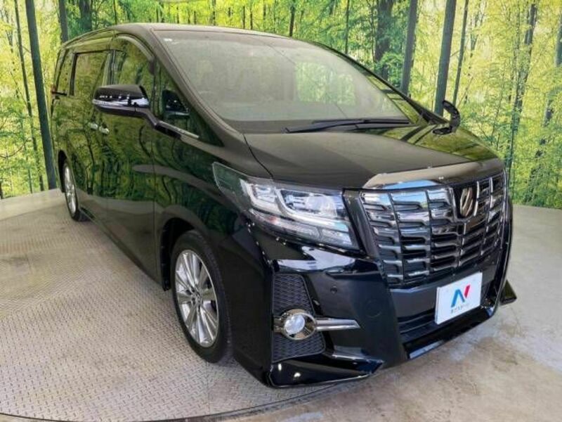 ALPHARD-16