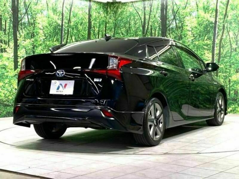 PRIUS-17