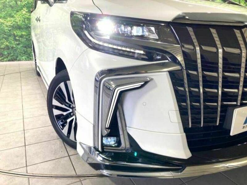 ALPHARD-13