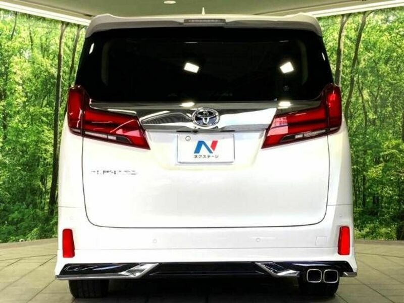 ALPHARD-16