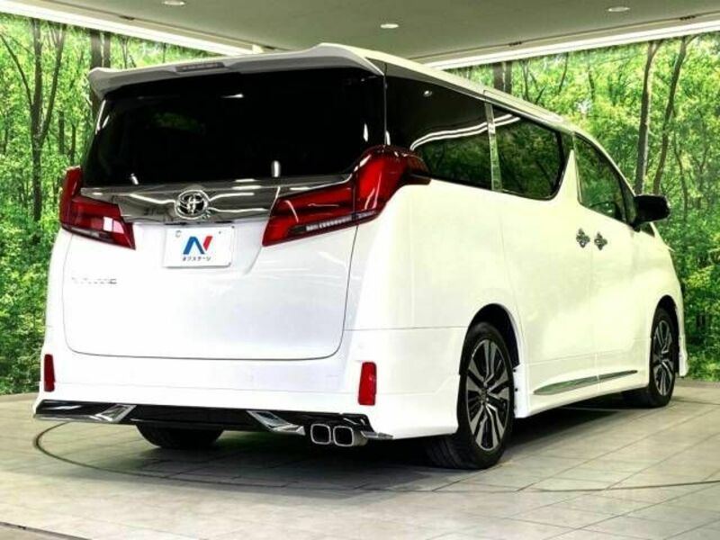 ALPHARD-18