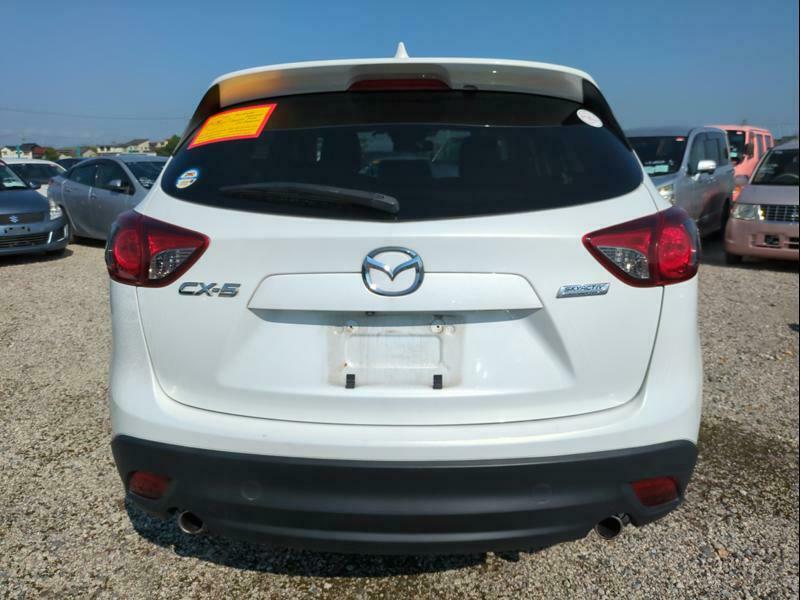 CX-5-31