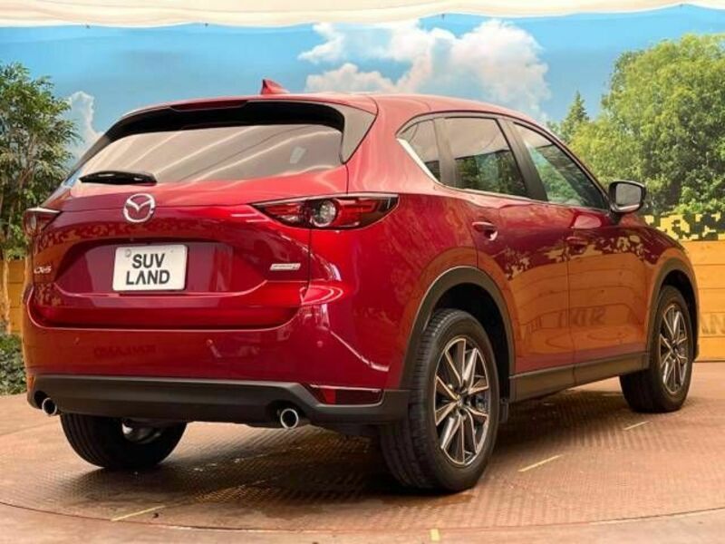 CX-5-17