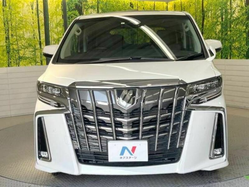 ALPHARD-15