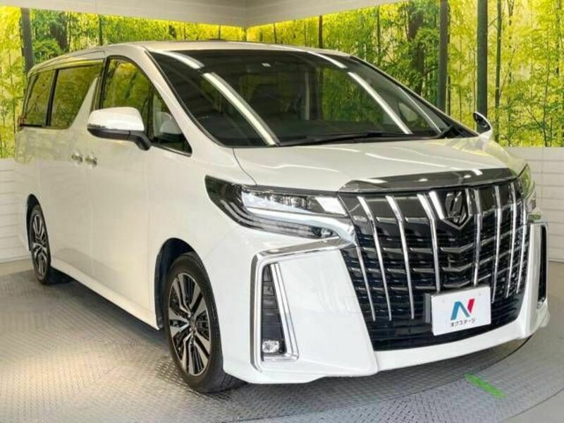 ALPHARD-17