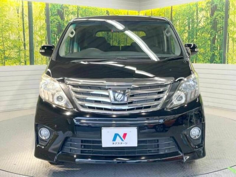 ALPHARD-15