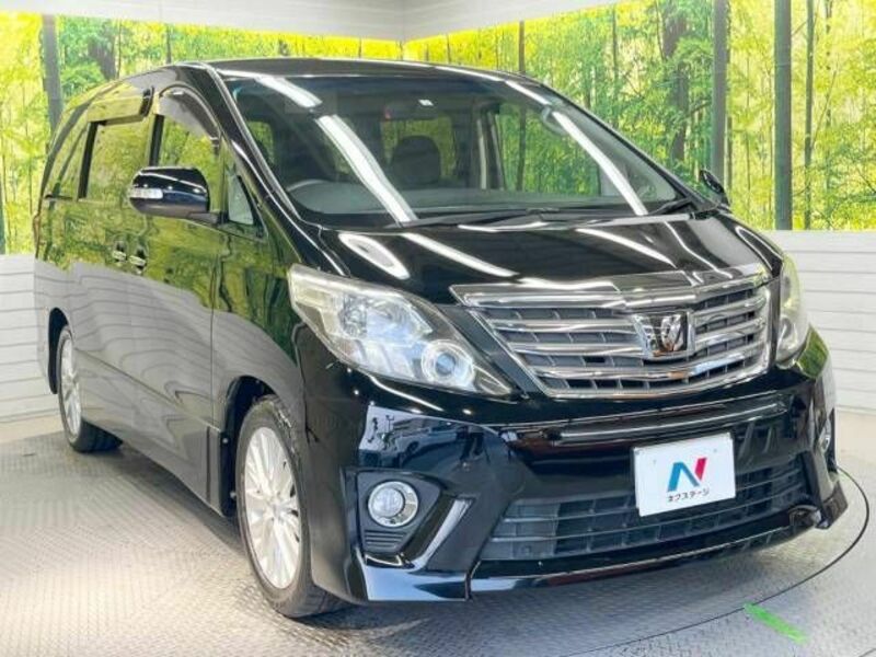 ALPHARD-17