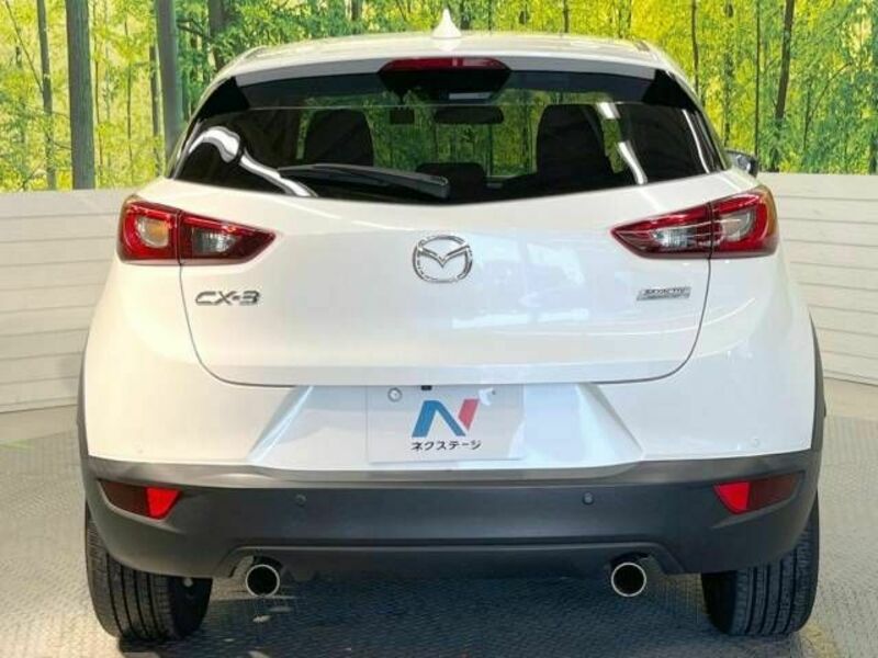 CX-3-15