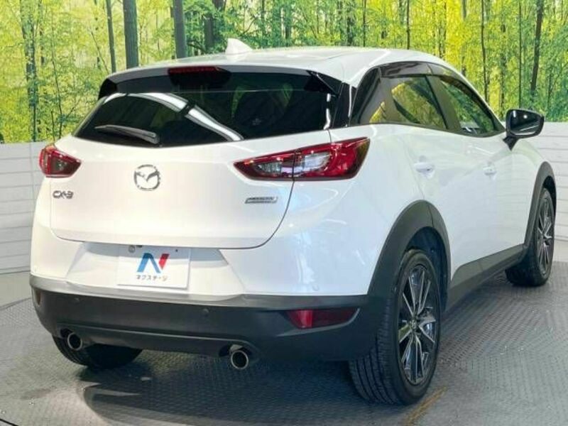 CX-3-17