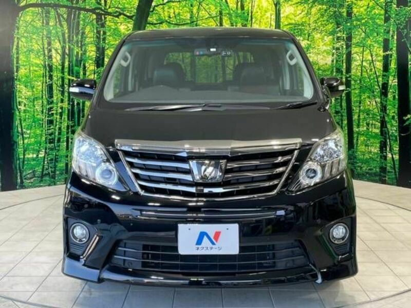 ALPHARD-15