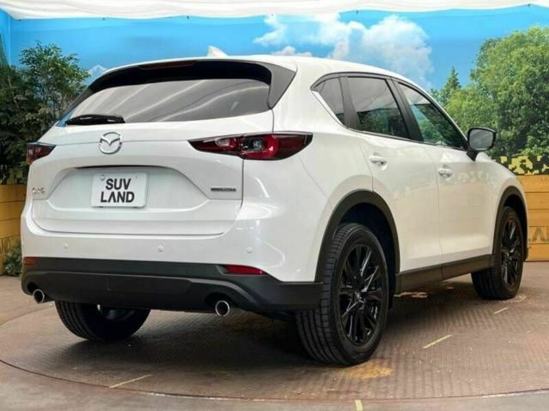 CX-5-17