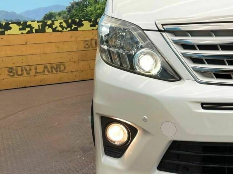 ALPHARD-12