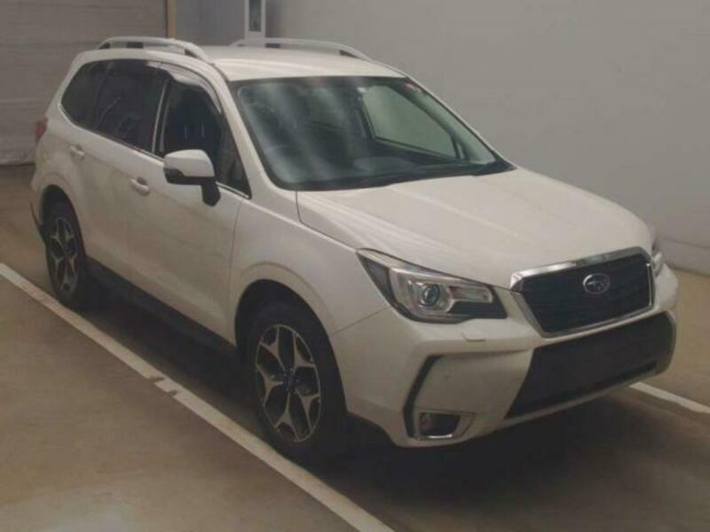 FORESTER-2