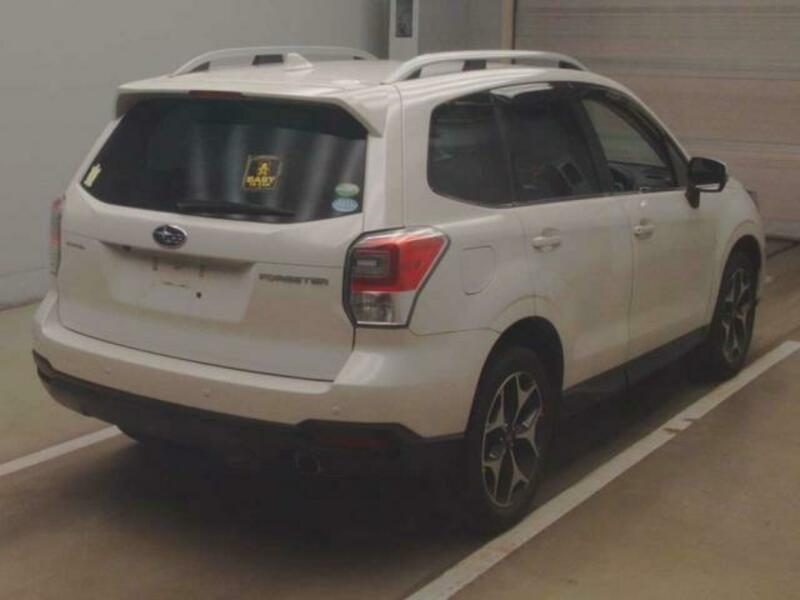 FORESTER-1