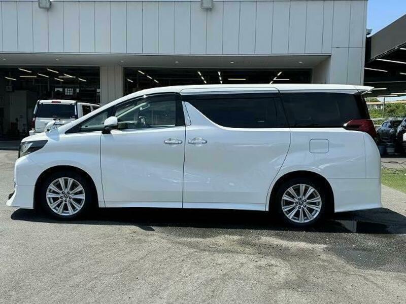 ALPHARD-15