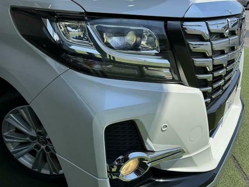 ALPHARD-19