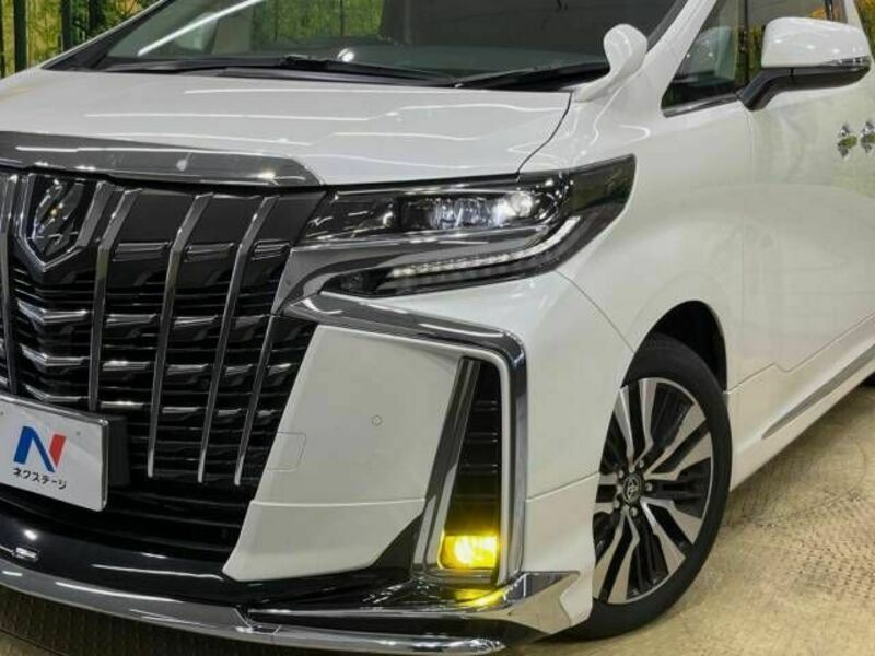 ALPHARD-13