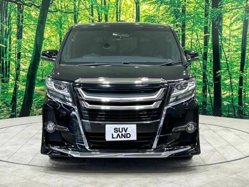 ALPHARD-14