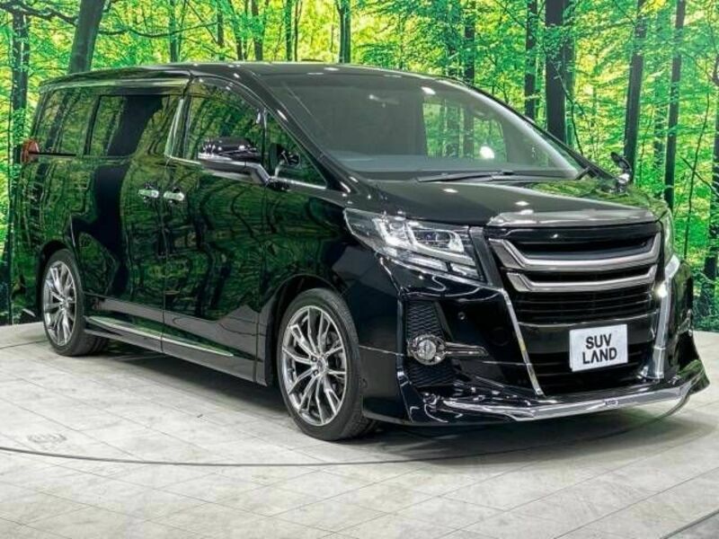 ALPHARD-16