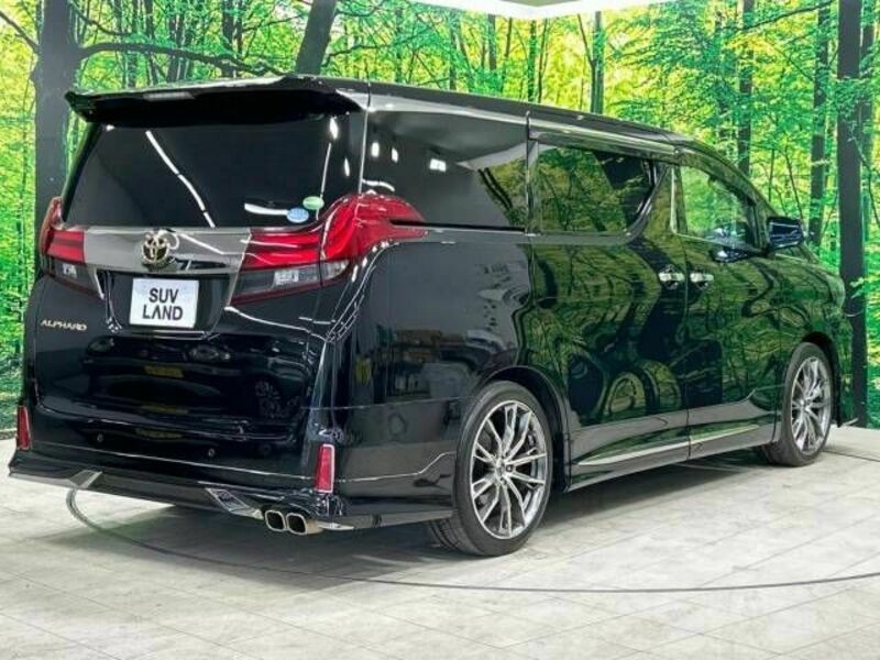 ALPHARD-17