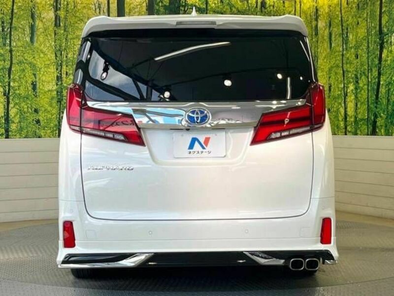 ALPHARD-16