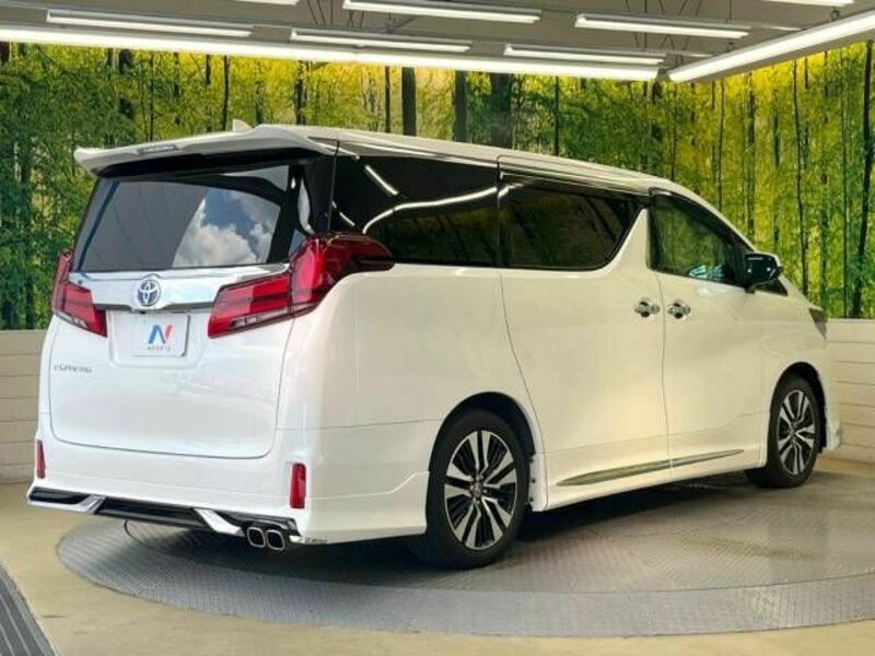 ALPHARD-18