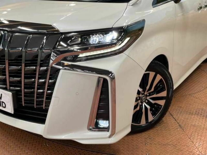 ALPHARD-14