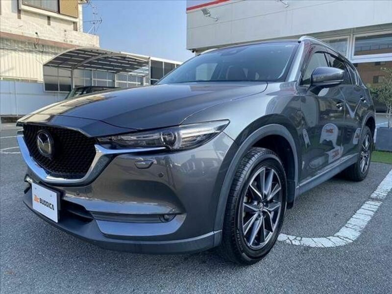 CX-5-6