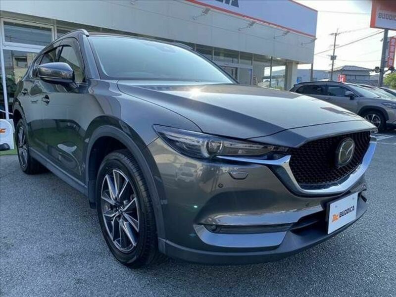 CX-5-8