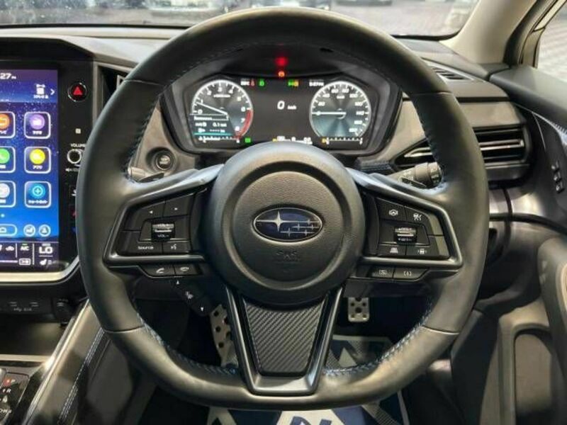 LEVORG-10