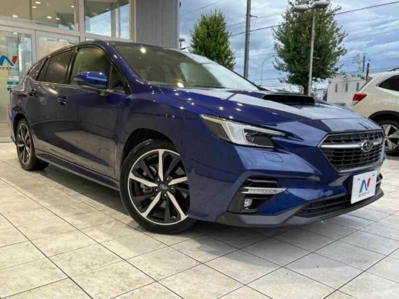 LEVORG-18