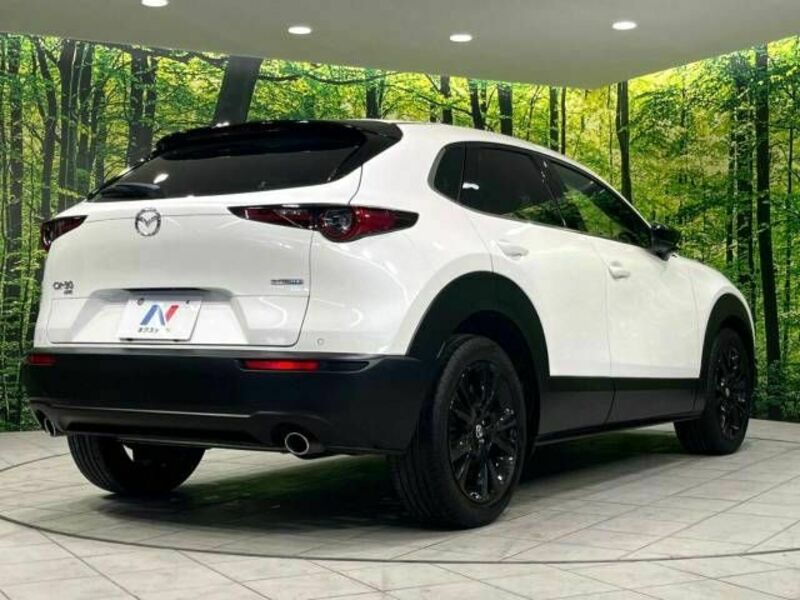 CX-30-17