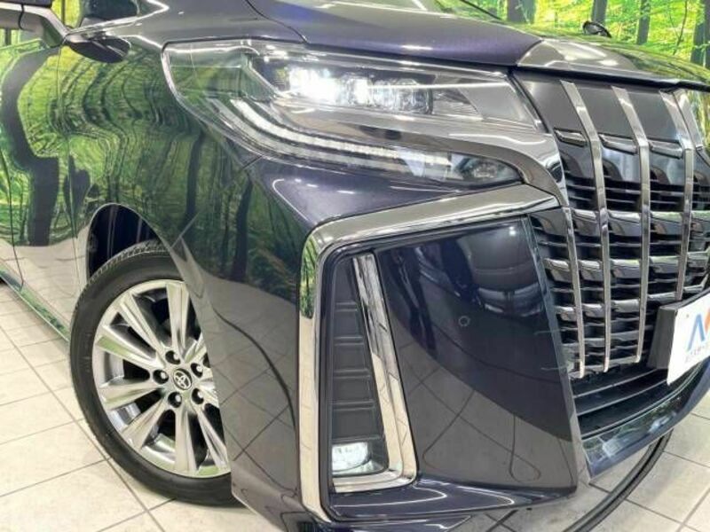 ALPHARD-13