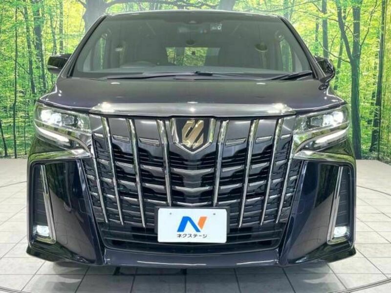 ALPHARD-15