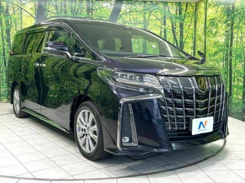 ALPHARD-17