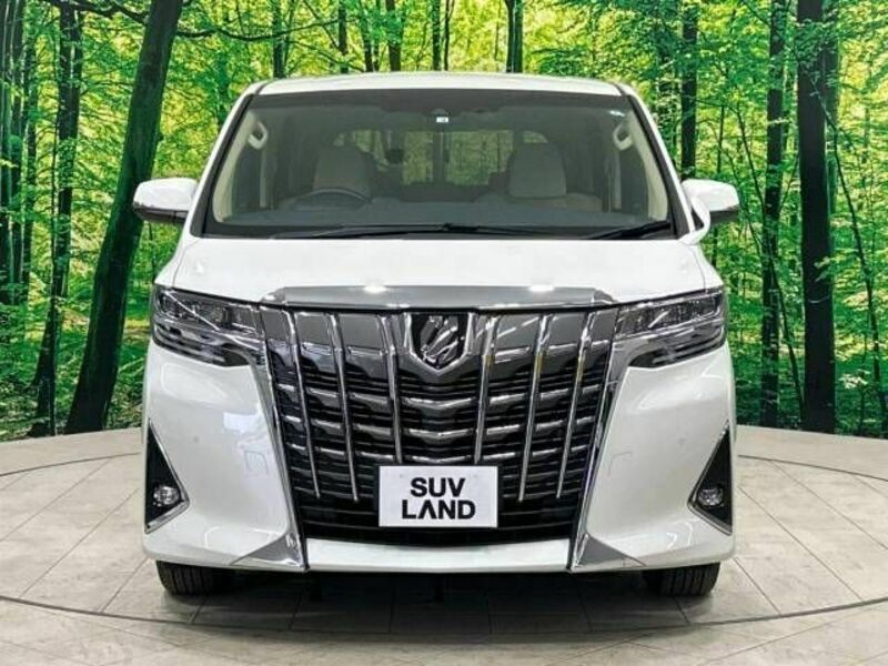 ALPHARD-14