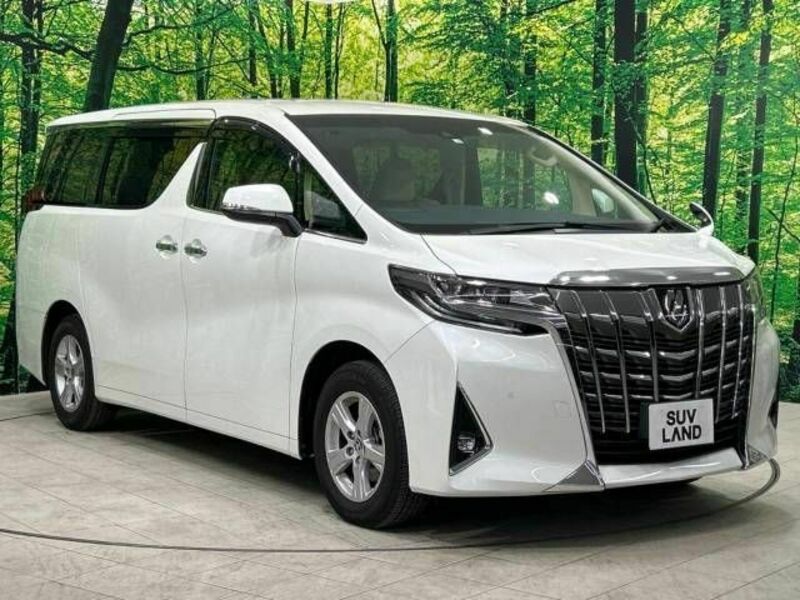 ALPHARD-16