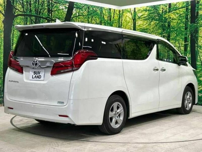 ALPHARD-17