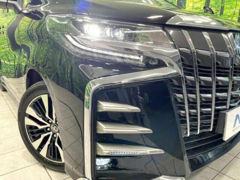 ALPHARD-13