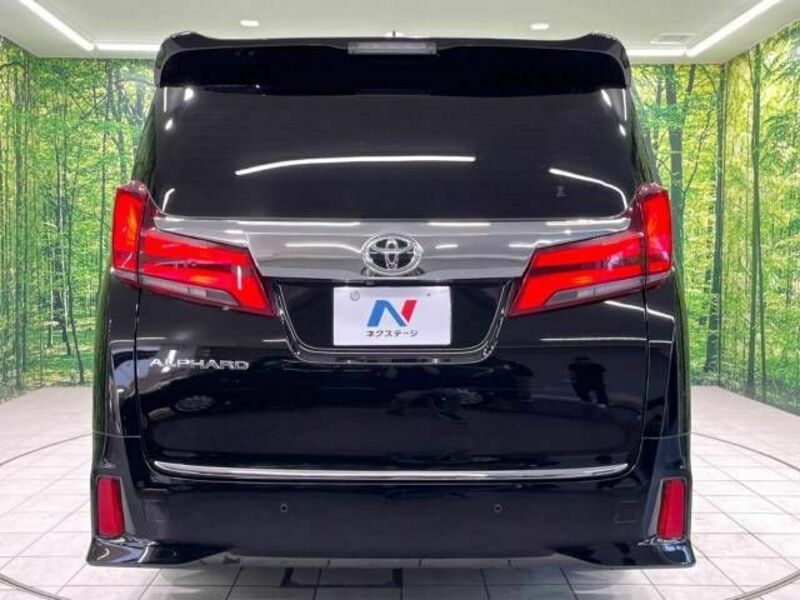 ALPHARD-16