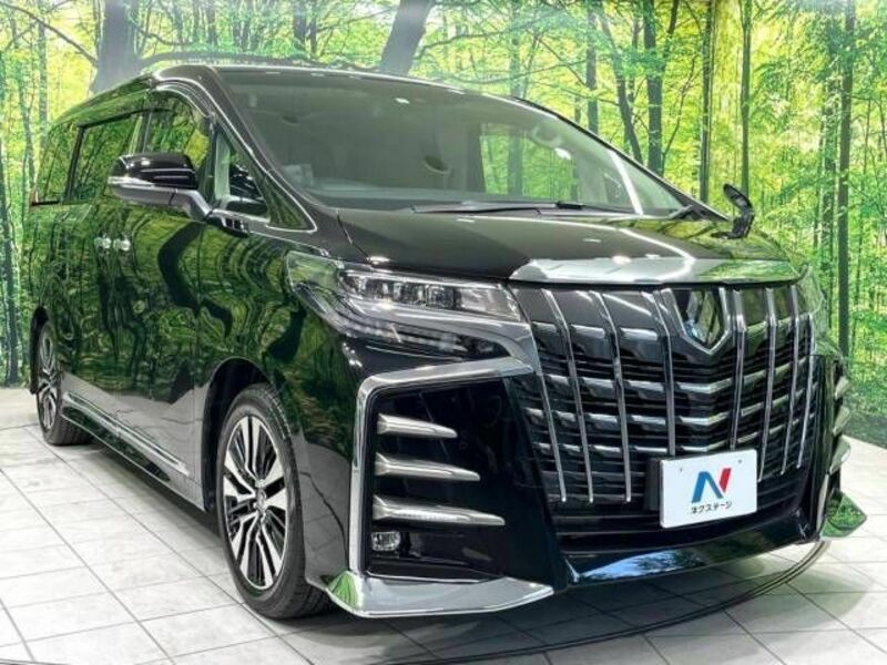 ALPHARD-17