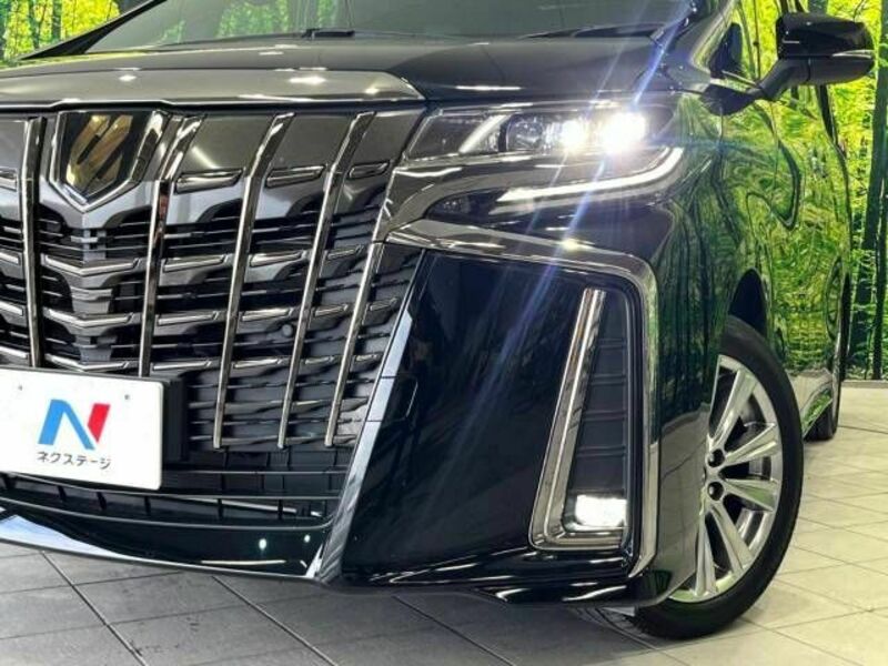 ALPHARD-13