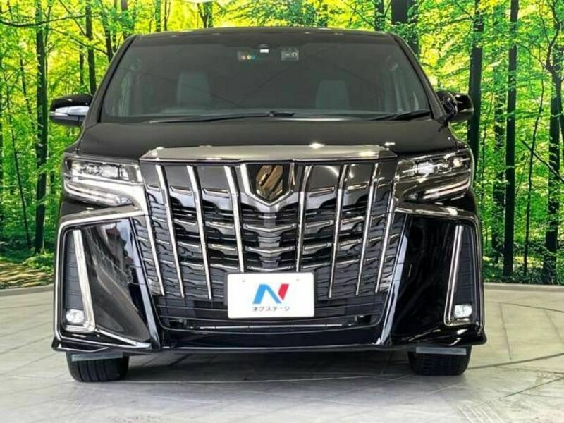 ALPHARD-15