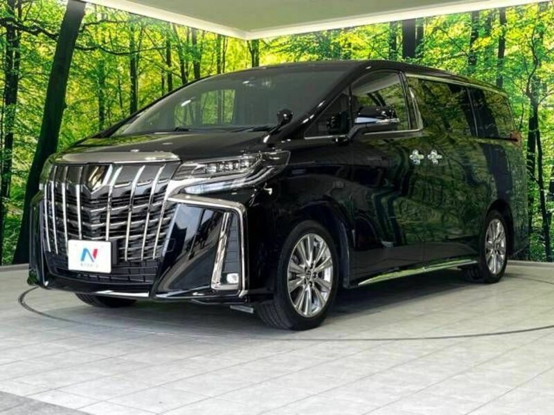 ALPHARD-17