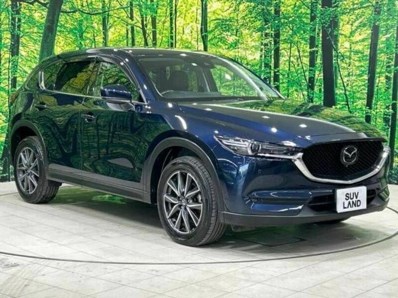 CX-5-16