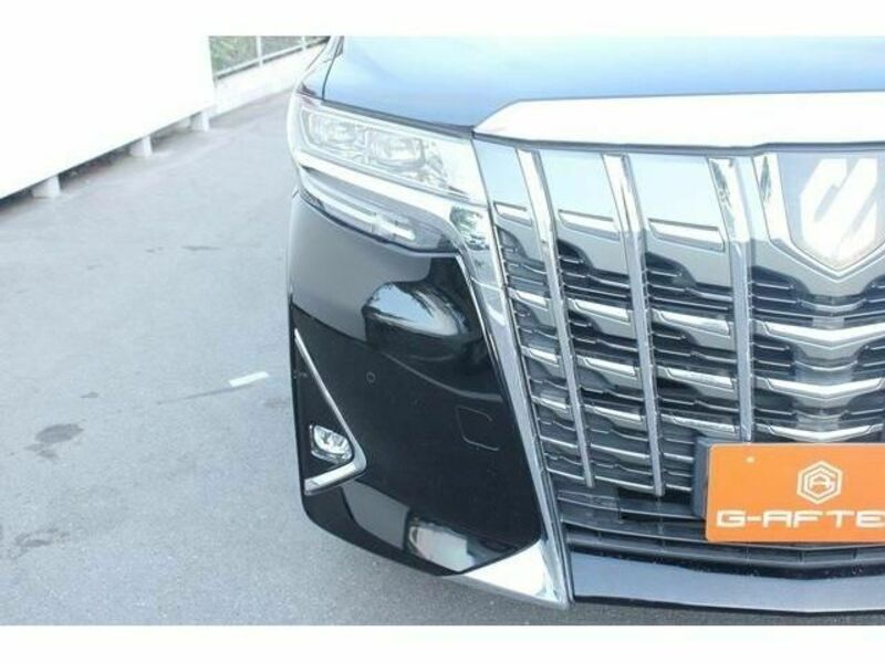 ALPHARD-11