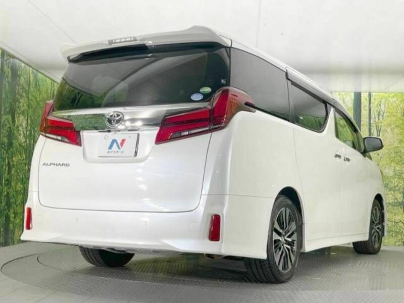 ALPHARD-17