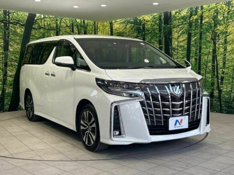 ALPHARD-16