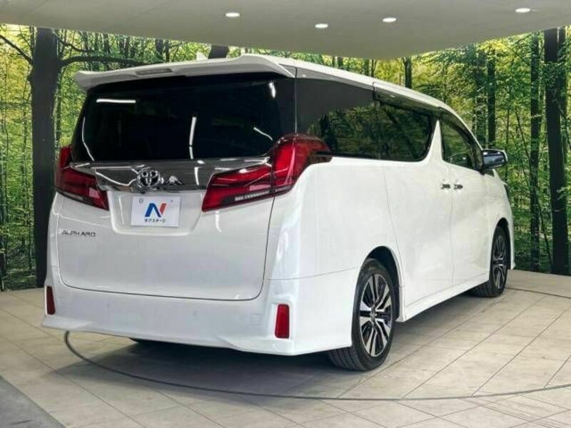 ALPHARD-17